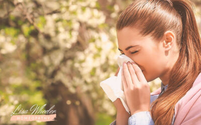 Homeopathy for Allergies