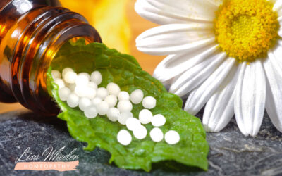 Origins and Benefits of Homeopathy