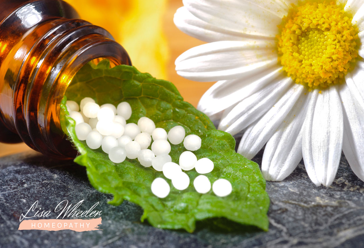 Lisa Wheeler Homeopathy | Blog | Origins