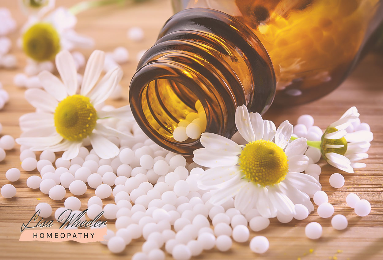 Lisa Wheeler Homeopathy | Blog | Homeopathic Family Medicine