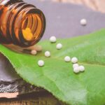 Lisa Wheeler Homeopathy | Blog | Healing the Terrain of Your Body with Homeopathy