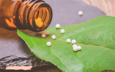 Healing the Terrain of Your Body with Homeopathy