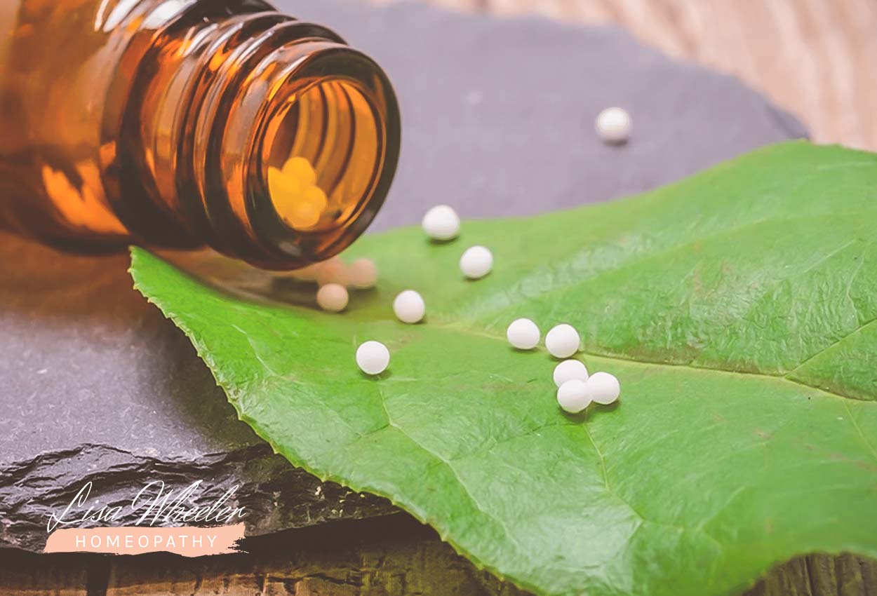 Lisa Wheeler Homeopathy | Blog | Healing the Terrain of Your Body with Homeopathy